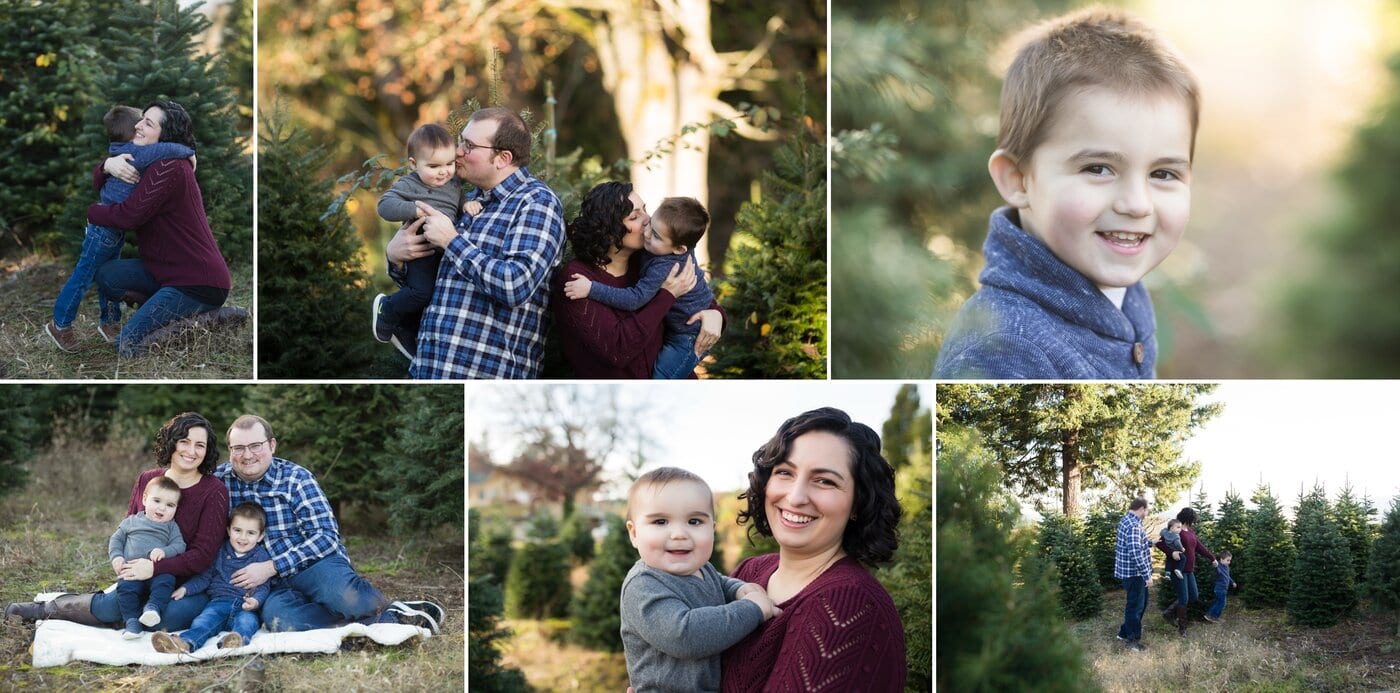 family photos on a christmas tree farm