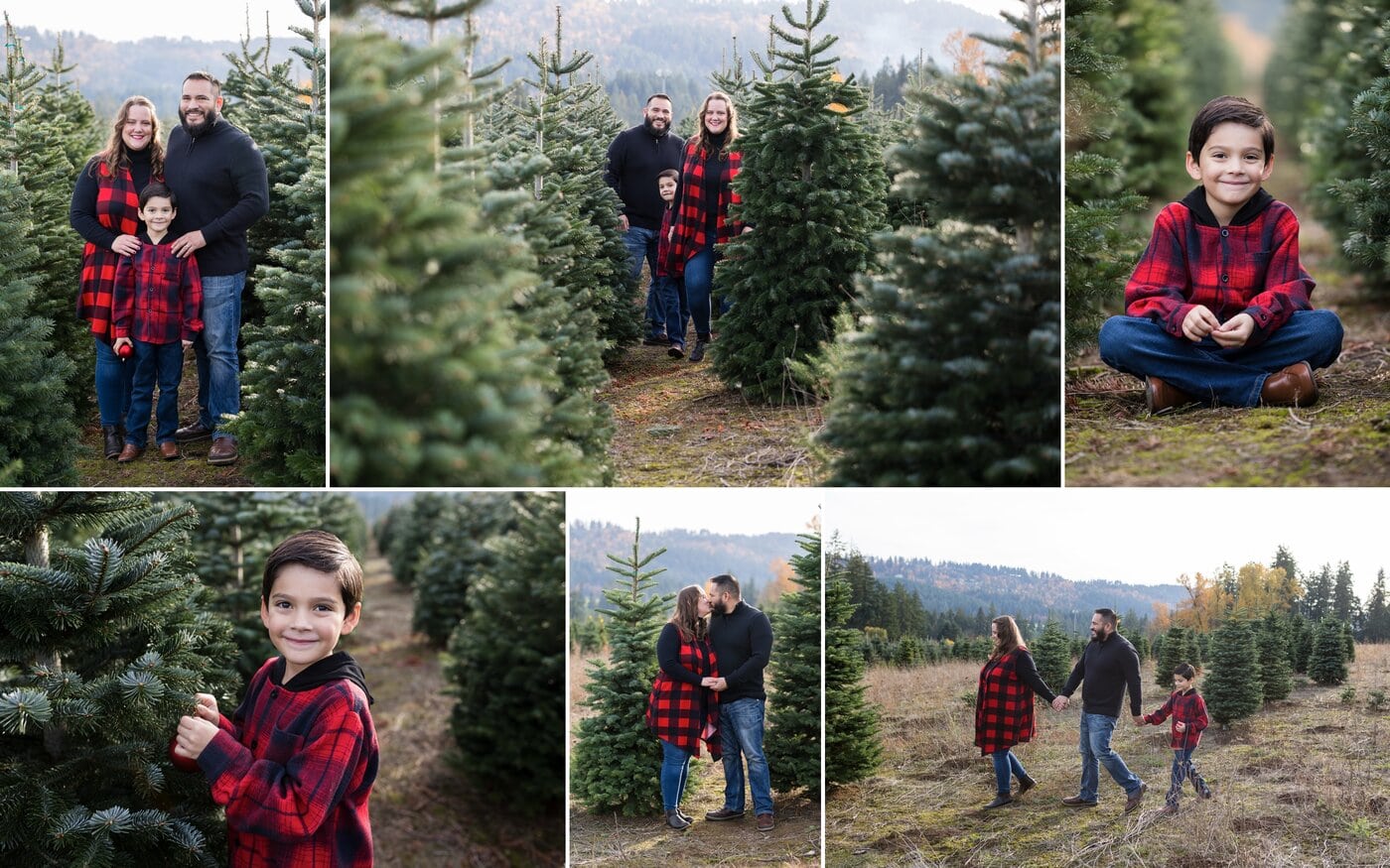 family photos on a christmas tree farm