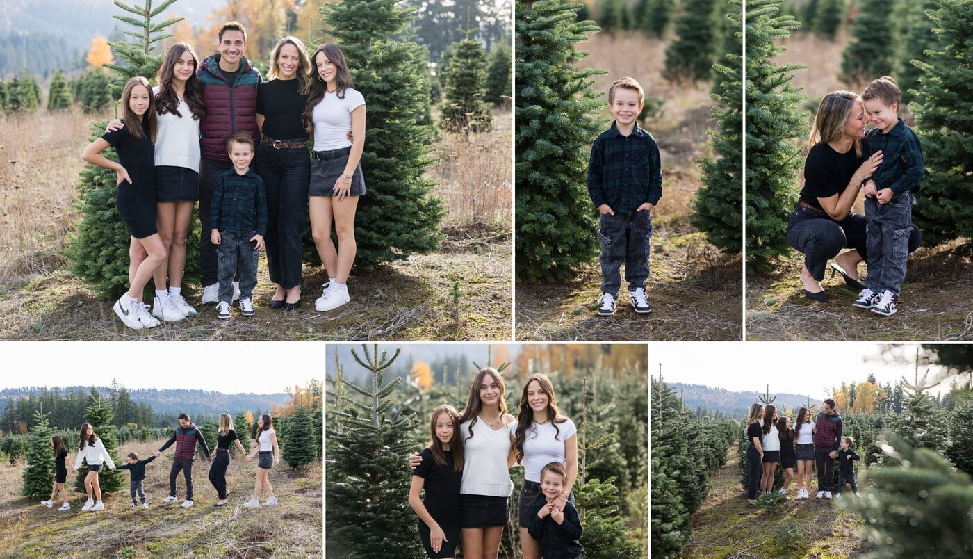 family photos on a christmas tree farm
