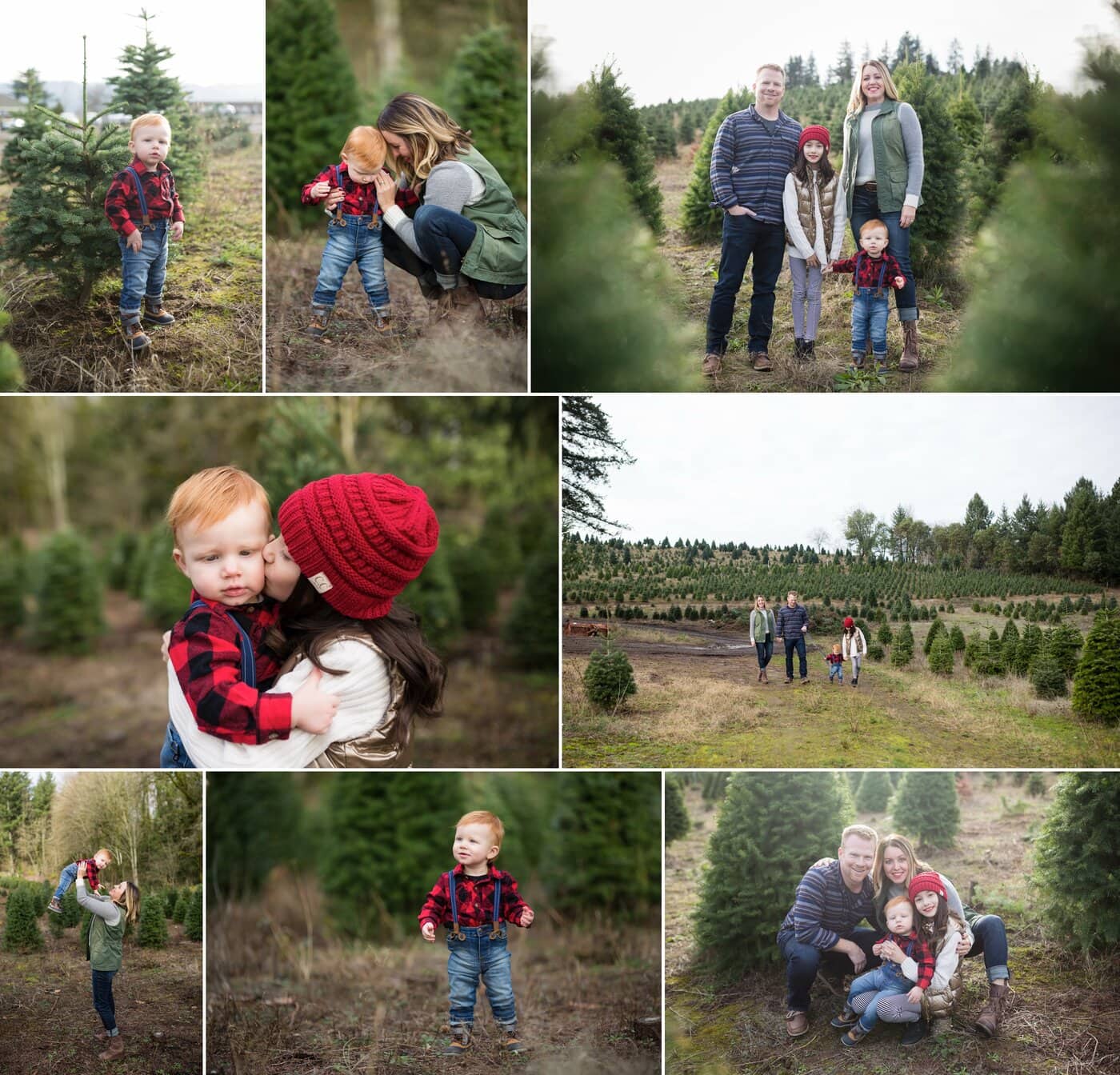 family photos on a christmas tree farm