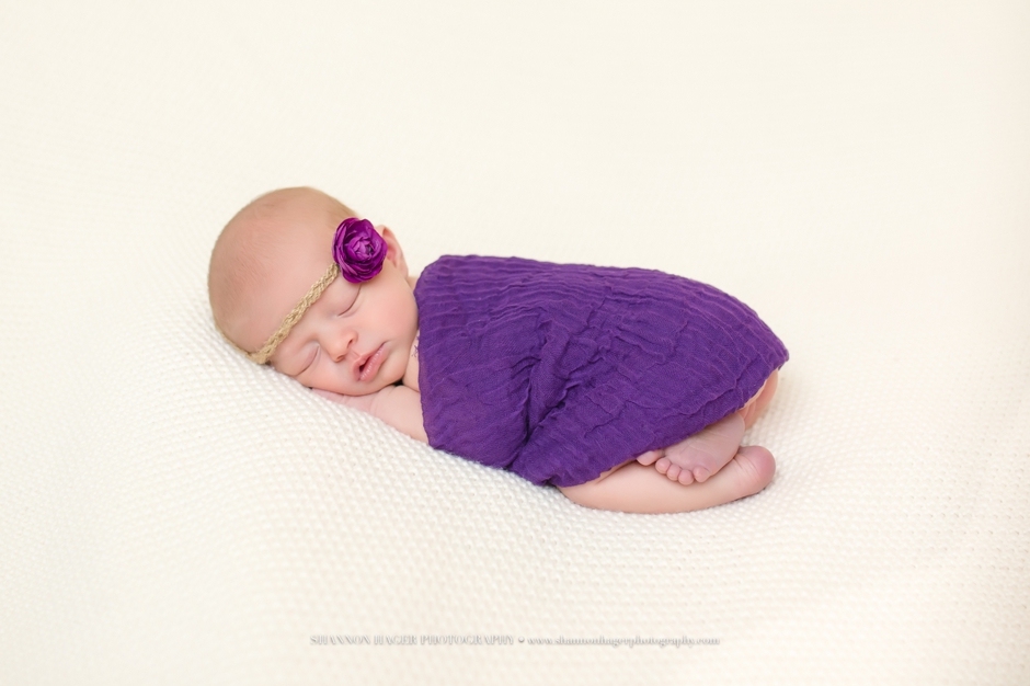 newborn photography portland, baby photos studio, shannon hager photography