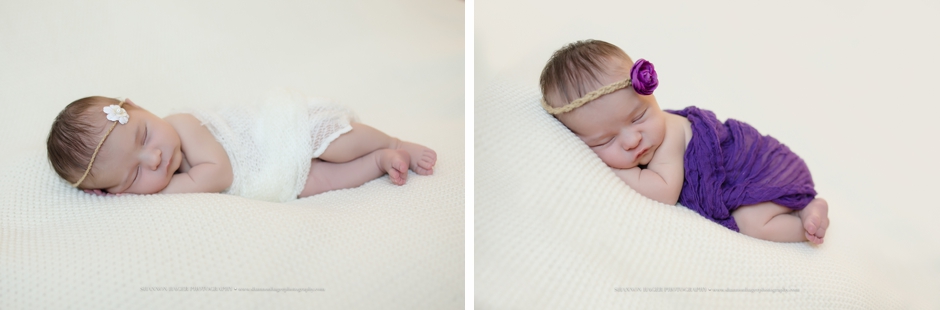 posed newborn photography portland, studio baby session, shannon hager photography
