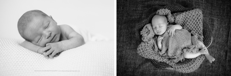 posed newborn photography portland, studio baby session, shannon hager photography
