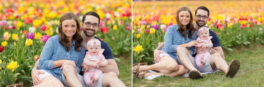 portland family baby photographer, spring tulip field photo session