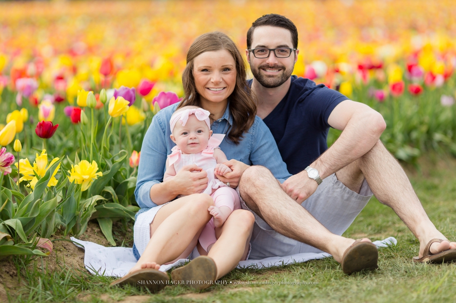 portland family baby photographer, spring tulip field photo session