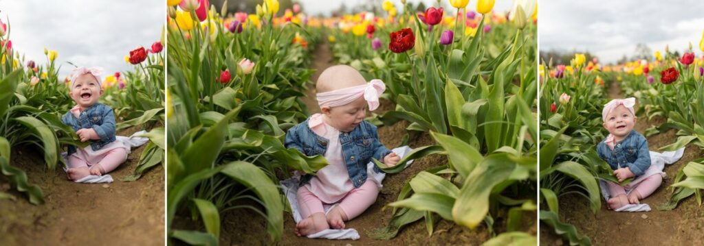 portland family baby photographer, spring tulip field photo session
