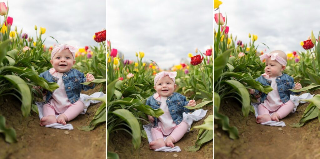 portland family baby photographer, spring tulip field photo session