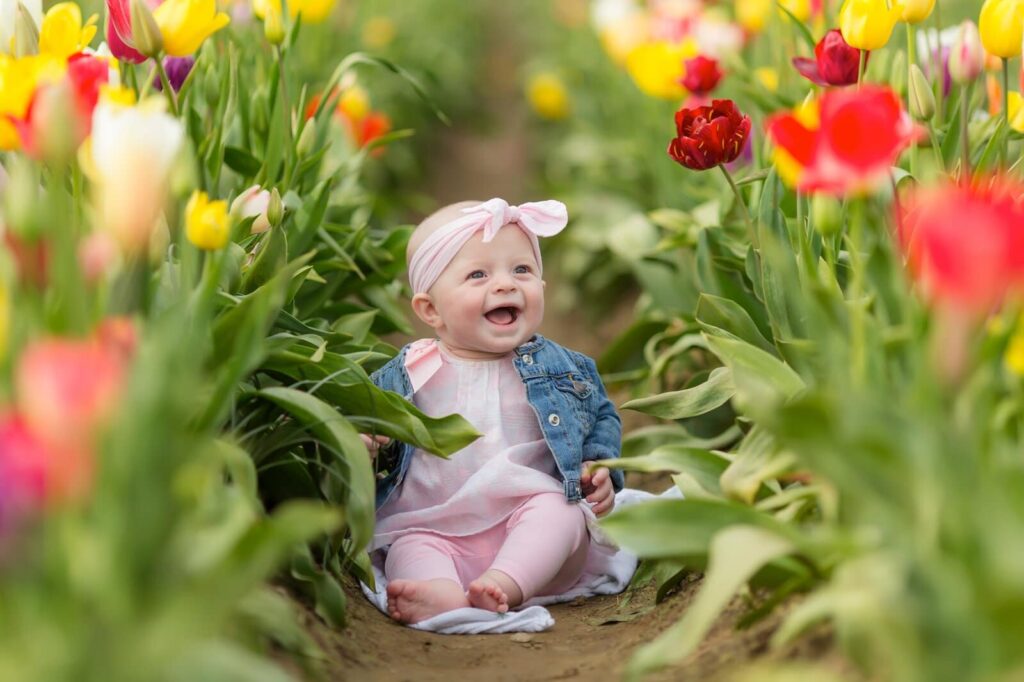 portland family baby photographer, spring tulip field photo session