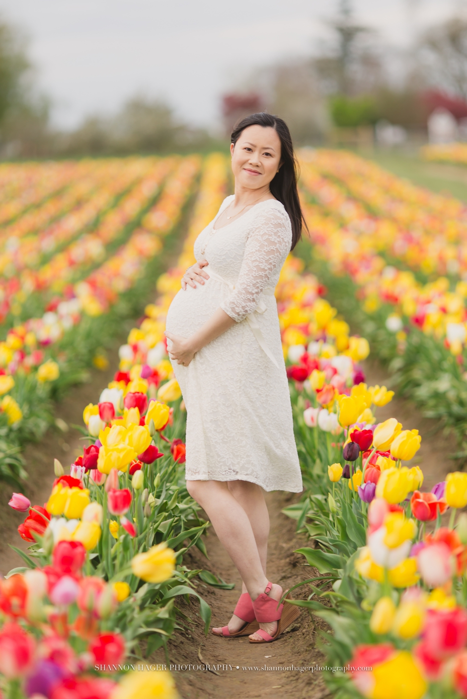 maternity photographer portland, wooden shoe tulip fields, spring maternity session