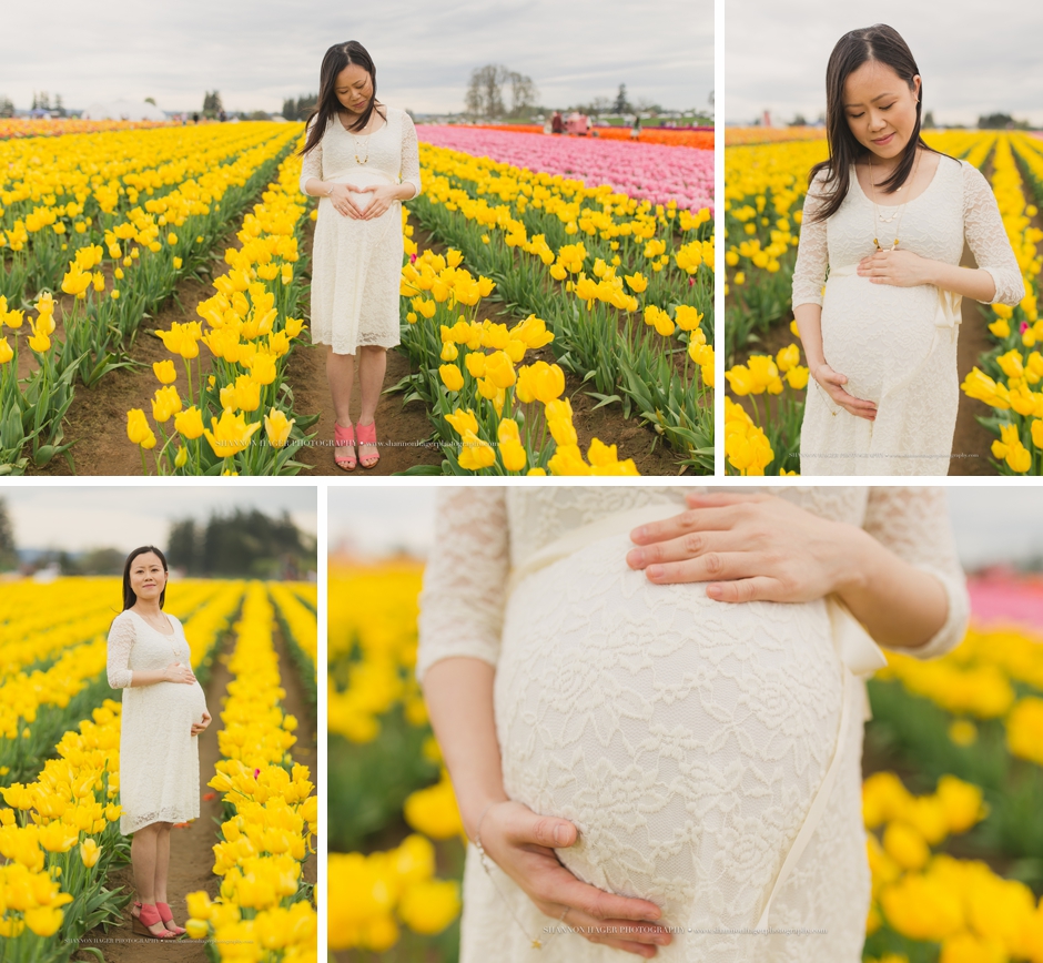 maternity photographer portland, wooden shoe tulip fields, spring maternity session
