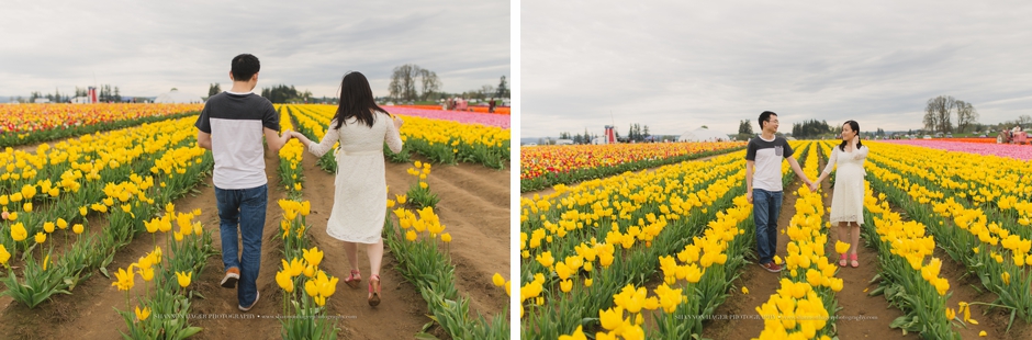 maternity photographer portland, wooden shoe tulip fields, spring maternity session