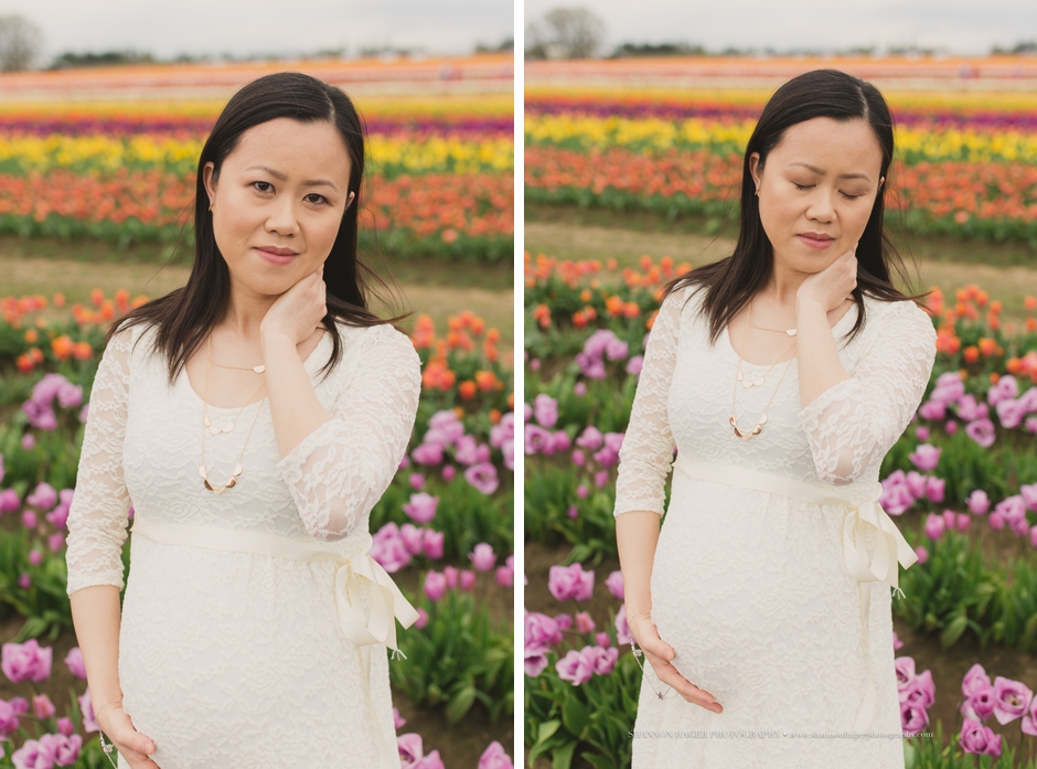 maternity photographer portland, wooden shoe tulip fields, spring maternity session