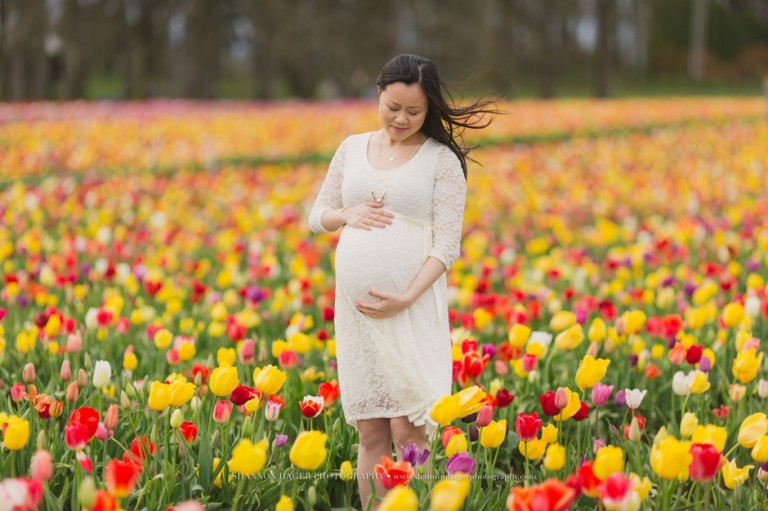 maternity photographer portland, wooden shoe tulip fields, spring maternity session