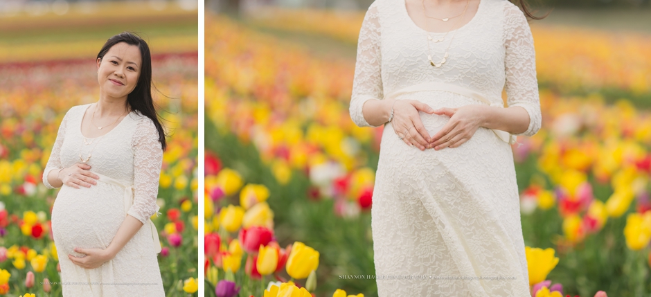 maternity photographer portland, wooden shoe tulip fields, spring maternity session