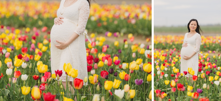 maternity photographer portland, wooden shoe tulip fields, spring maternity session