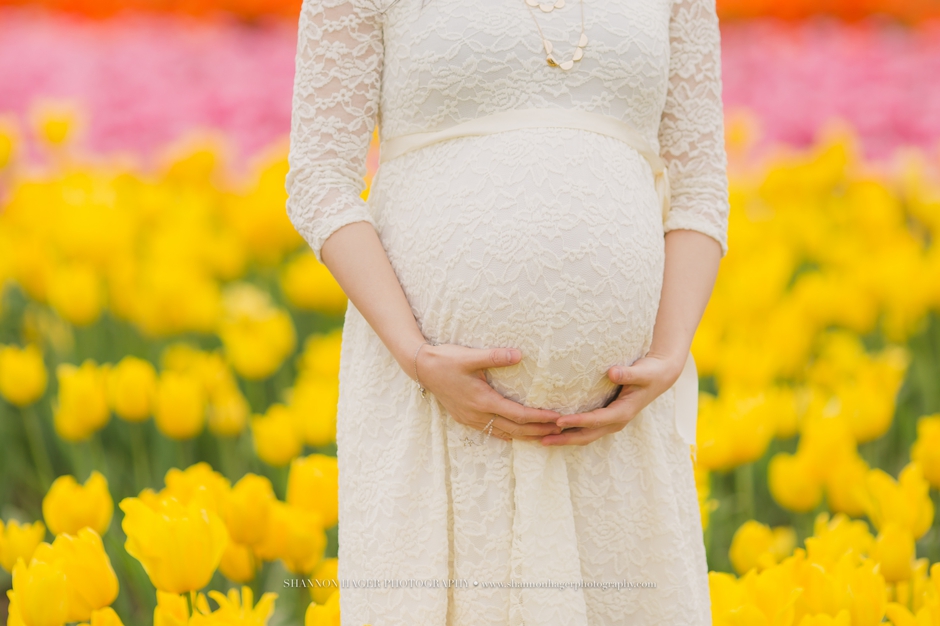 maternity photographer portland, wooden shoe tulip fields, spring maternity session