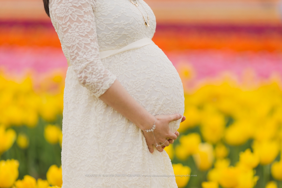 maternity photographer portland, wooden shoe tulip fields, spring maternity session