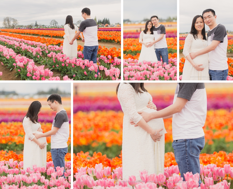 maternity photographer portland, wooden shoe tulip fields, spring maternity session