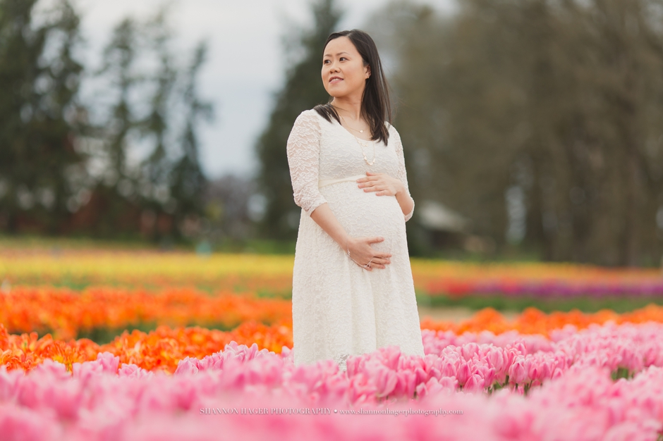 maternity photographer portland, wooden shoe tulip fields, spring maternity session