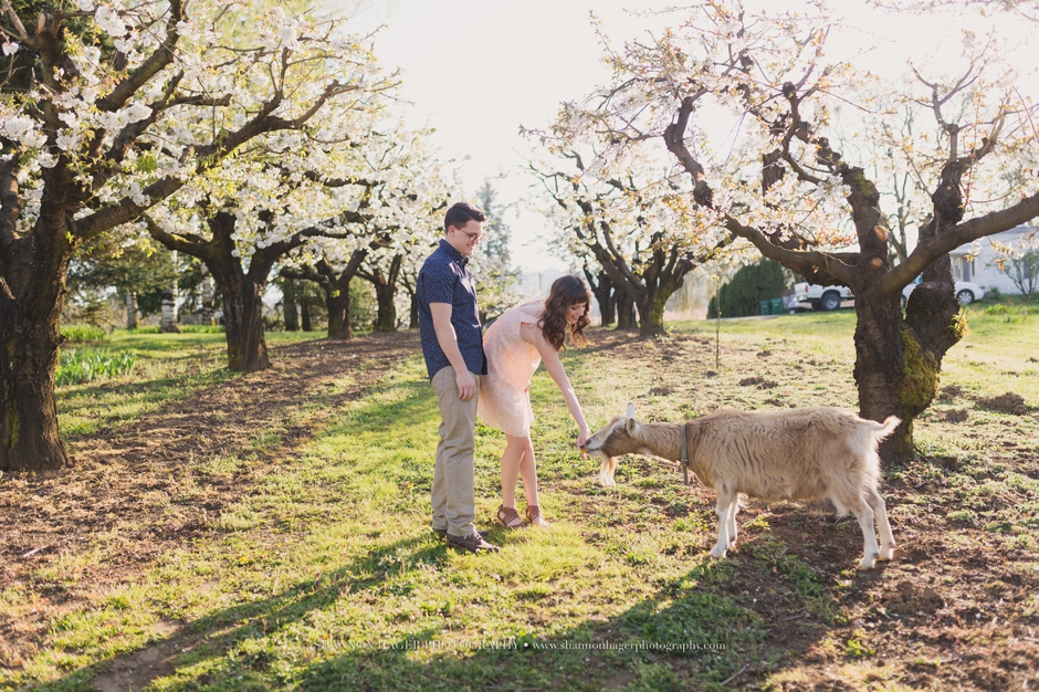 portland engagement photographer, farm wedding oregon