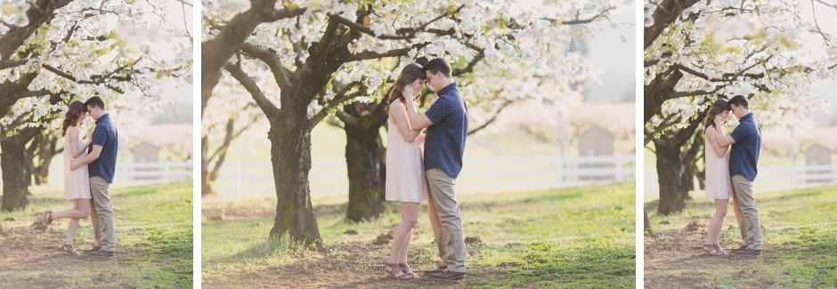 portland engagement photographer, farm wedding oregon