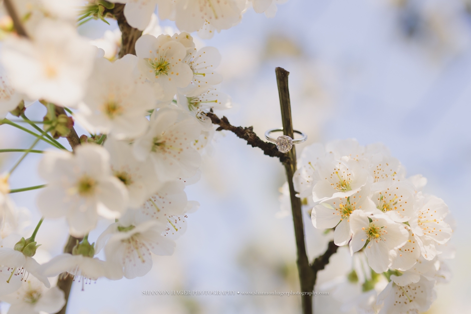 portland engagement photographer, farm wedding oregon