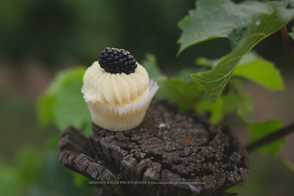 willamette valley vineyard wedding, oregon wedding photographer