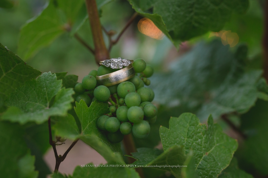willamette valley vineyard wedding, oregon wedding photographer