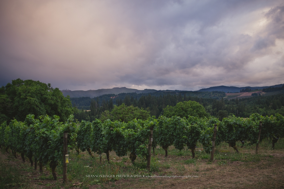 tualatin estate vineyard wedding, portland wedding photographer
