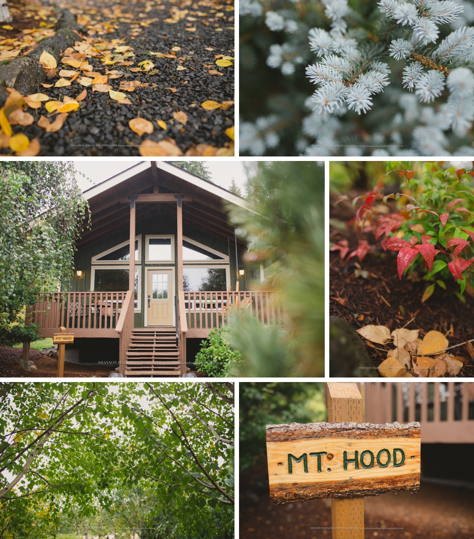 carson washington elopement photographer, carson ridge cabin wedding, shannon hager photography