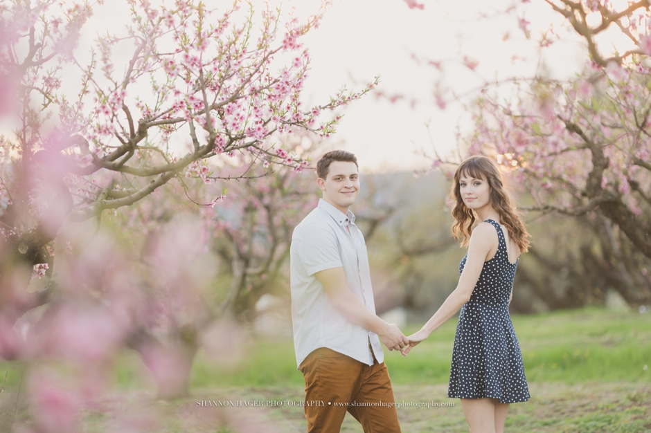 portland engagement photographer, shannon hager photography, farm barn engagement session in the spring