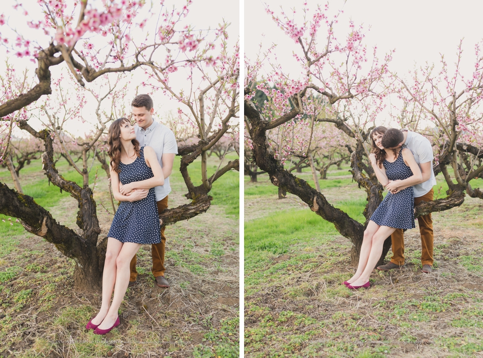 portland engagement photographer, shannon hager photography, farm barn engagement session in the spring