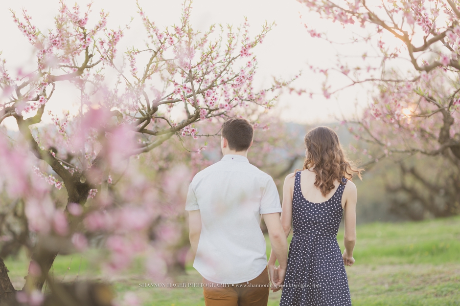 portland engagement photographer, shannon hager photography, farm barn engagement session in the spring