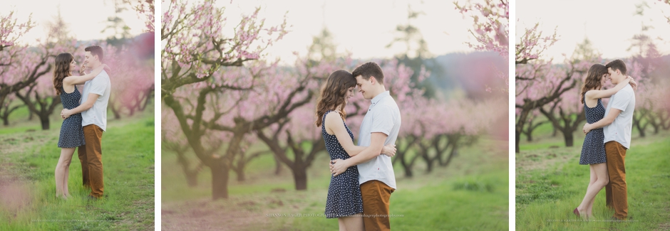 portland engagement photographer, shannon hager photography, farm barn engagement session in the spring