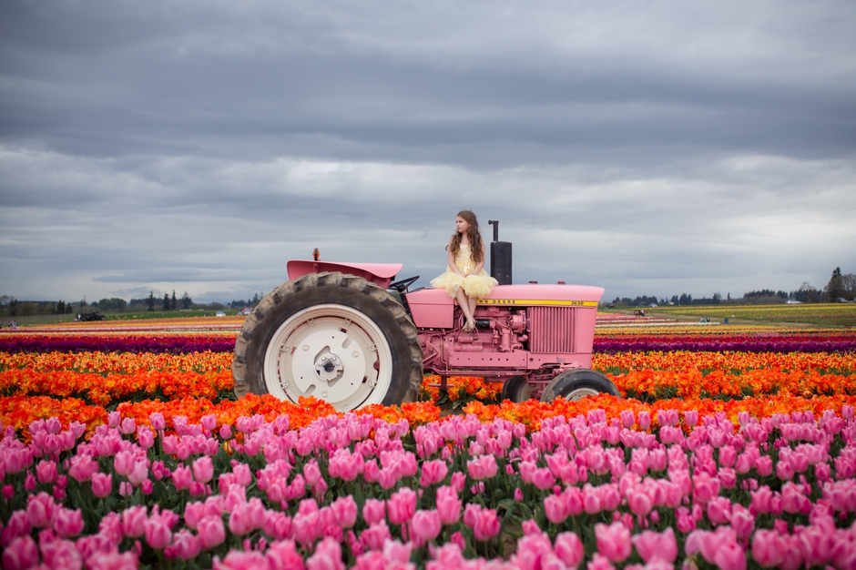 oregon tulip field photographer, portland family photographer, spring mini sessions portland, shannon hager photography, wooden shoe tulip farm