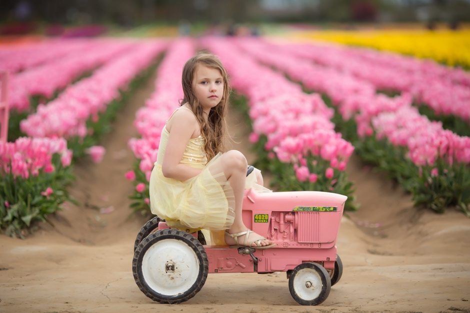 oregon tulip field photographer, portland family photographer, spring mini sessions portland, shannon hager photography, wooden shoe tulip farm