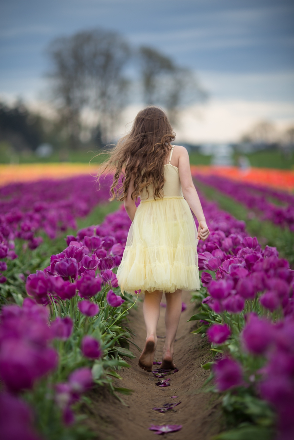 oregon tulip field photographer, portland family photographer, spring mini sessions portland, shannon hager photography, wooden shoe tulip farm