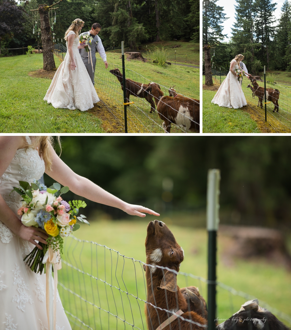 portland wedding photographer, summer farm wedding oregon, shannon hager photography