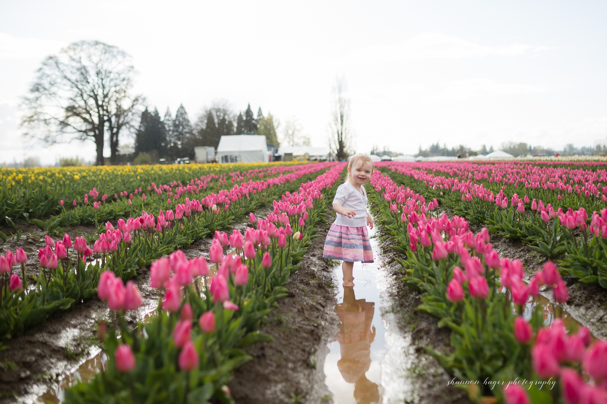 tulip photo session, spring mini sessions, portland family photographer, wooden shoe tulip festival