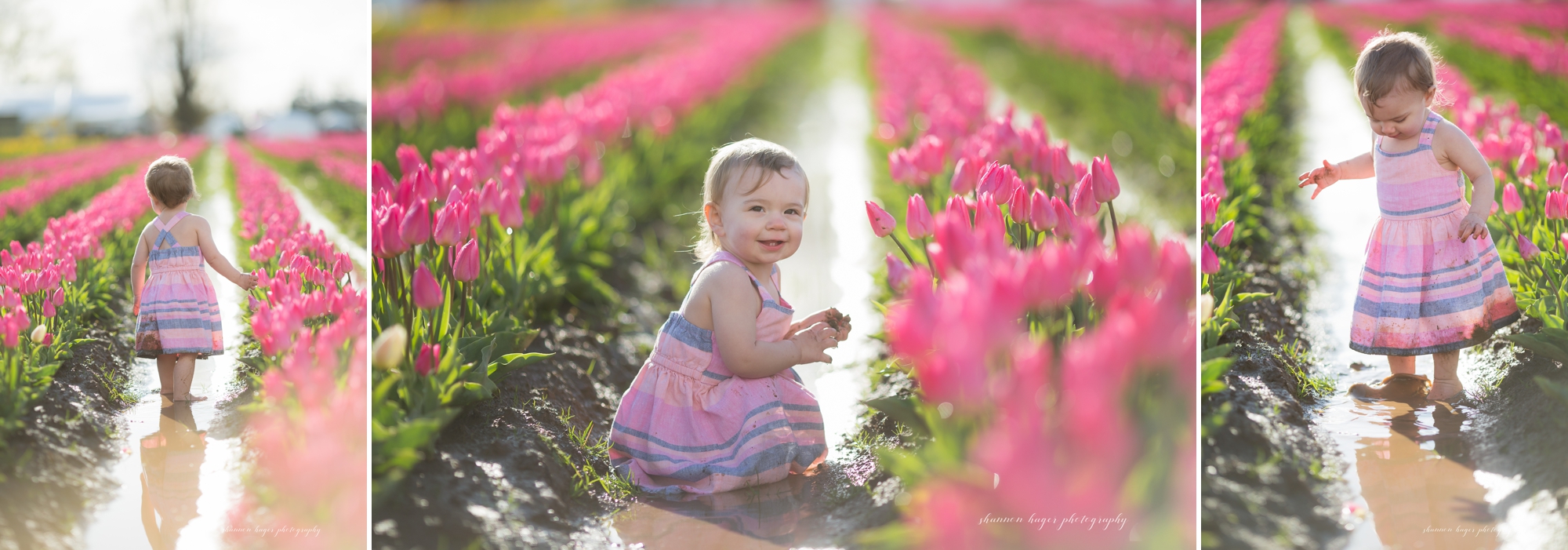 tulip photo session, spring mini sessions, portland family photographer, wooden shoe tulip festival