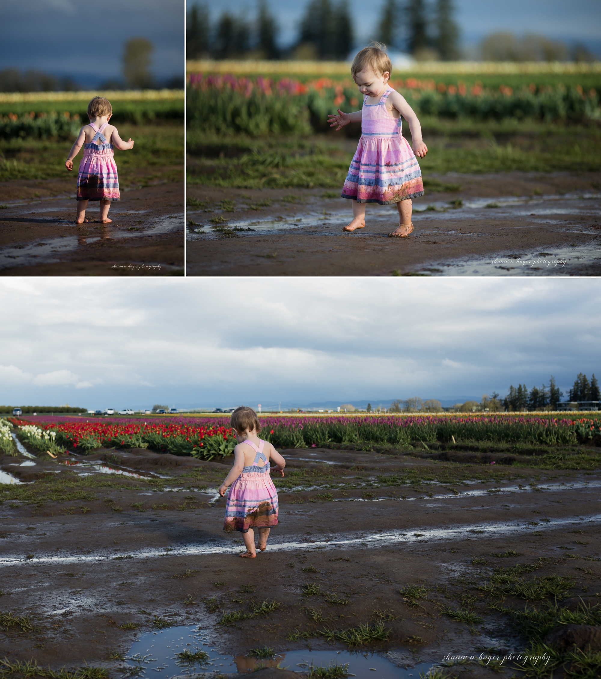 tulip photo session, spring mini sessions, portland family photographer, wooden shoe tulip festival