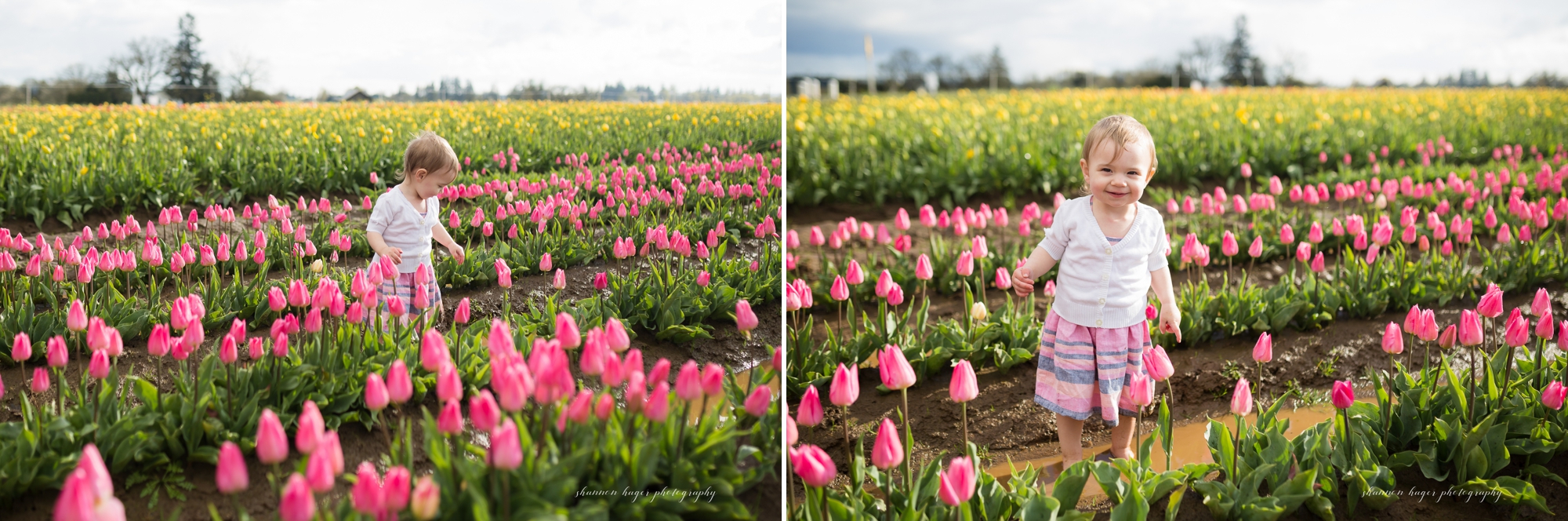 tulip photo session, spring mini sessions, portland family photographer, wooden shoe tulip festival