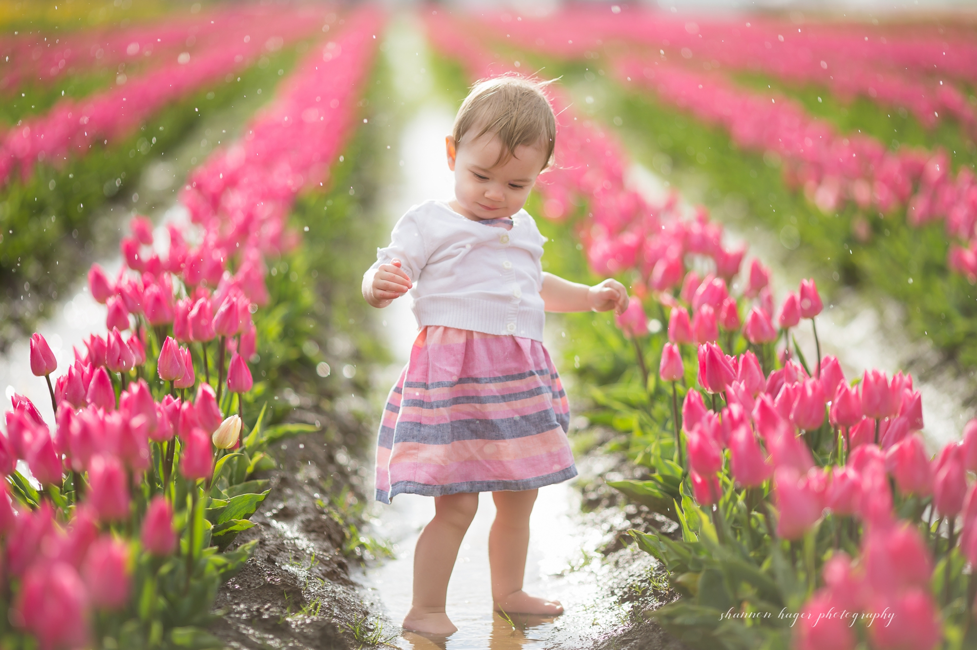 tulip photo session, spring mini sessions, portland family photographer, wooden shoe tulip festival