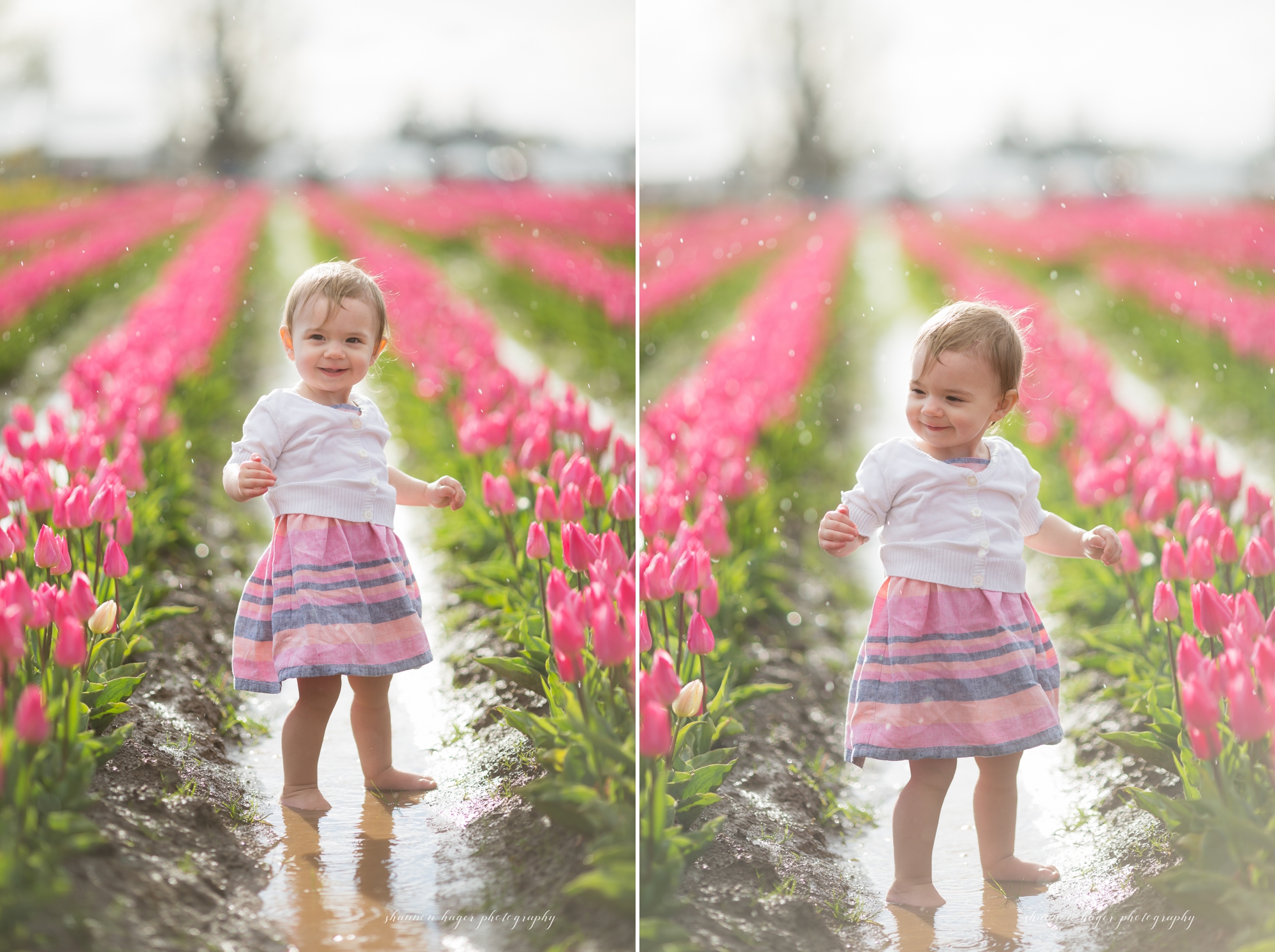 tulip photo session, spring mini sessions, portland family photographer, wooden shoe tulip festival