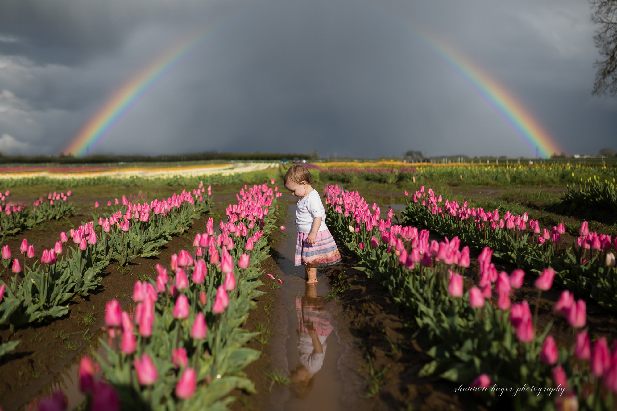 tulip photo session, spring mini sessions, portland family photographer, wooden shoe tulip festival