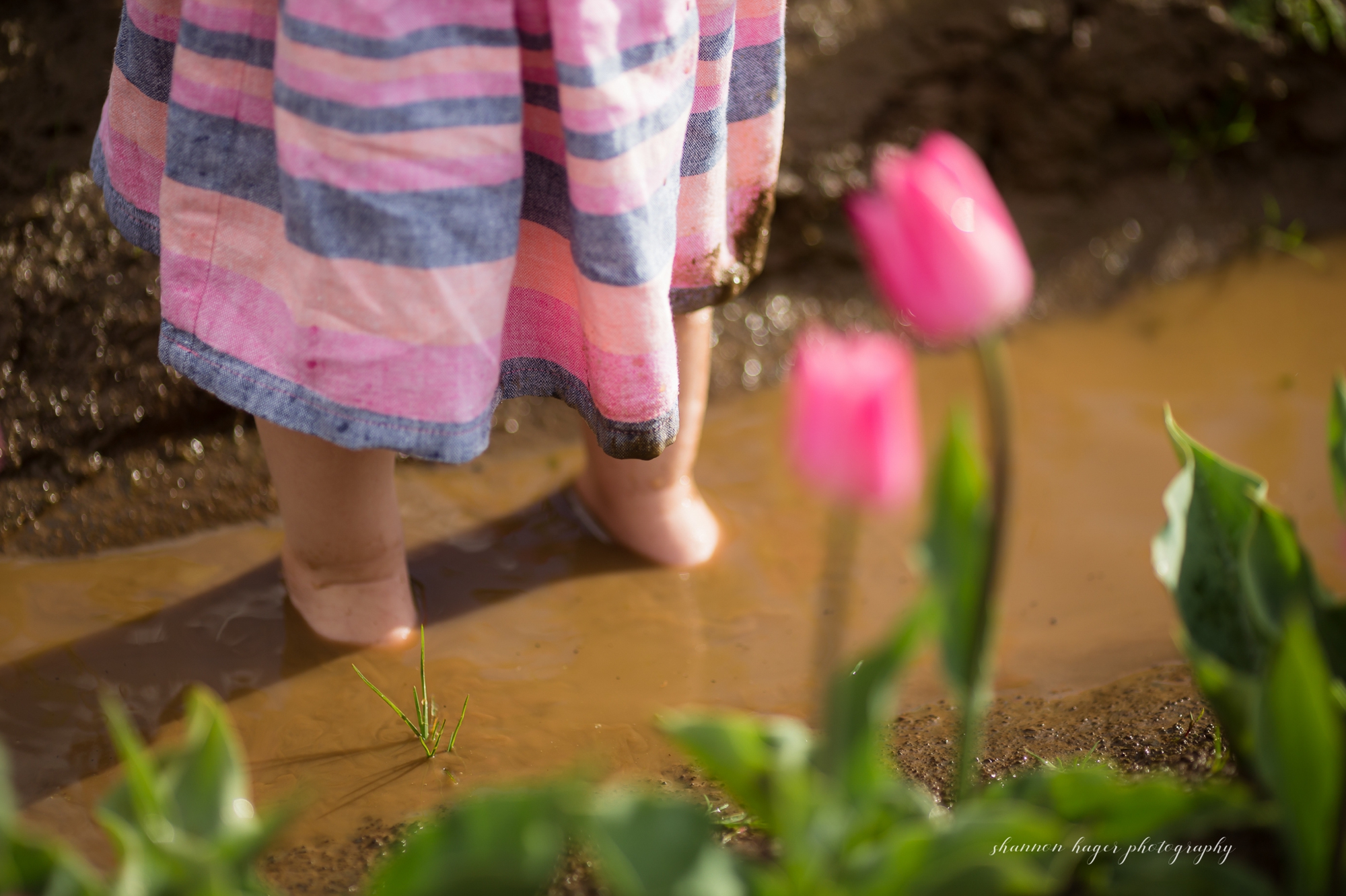 tulip photo session, spring mini sessions, portland family photographer, wooden shoe tulip festival