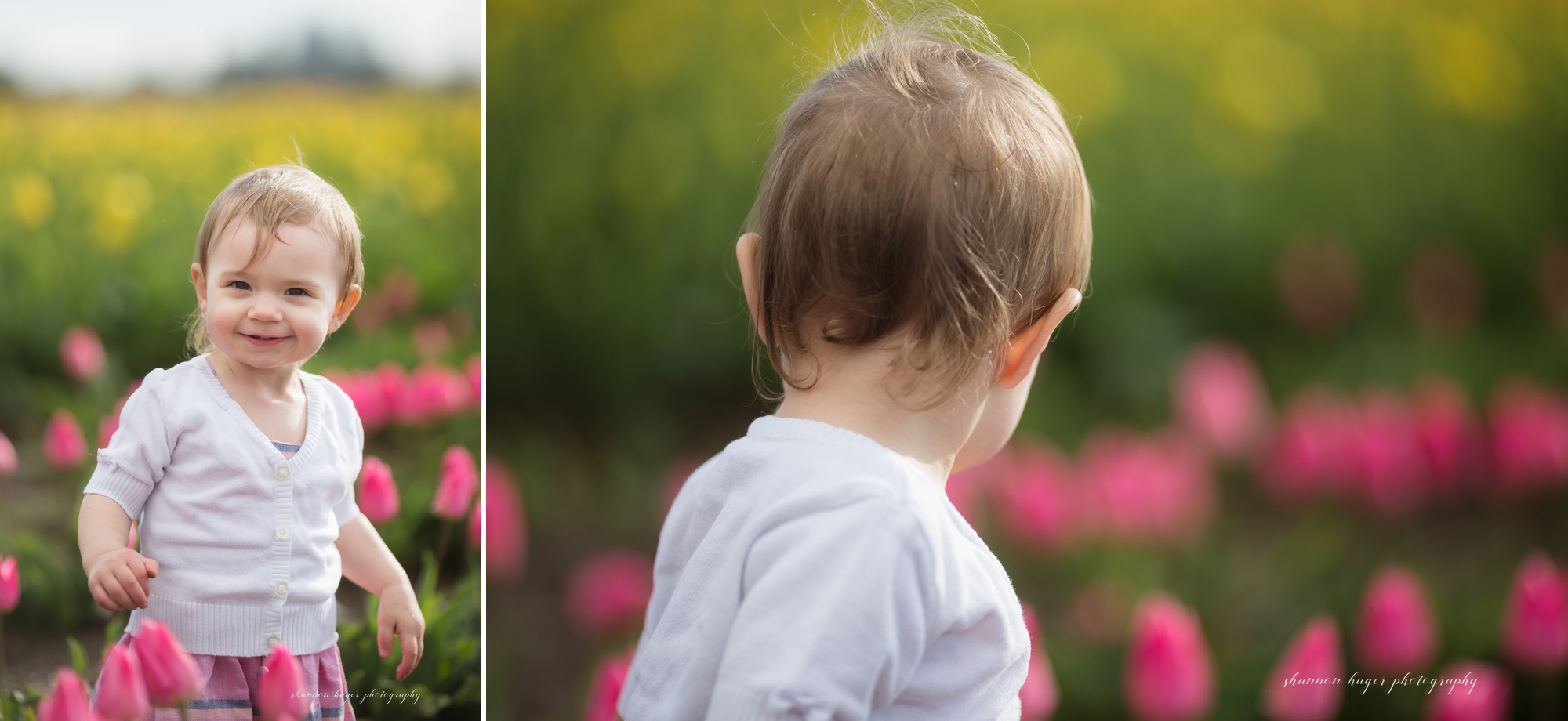 tulip photo session, spring mini sessions, portland family photographer, wooden shoe tulip festival