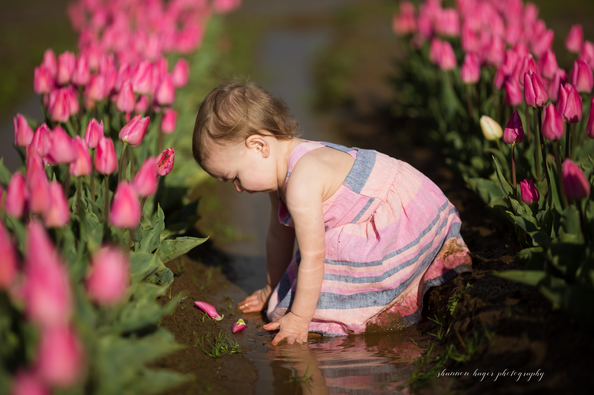 tulip photo session, spring mini sessions, portland family photographer, wooden shoe tulip festival