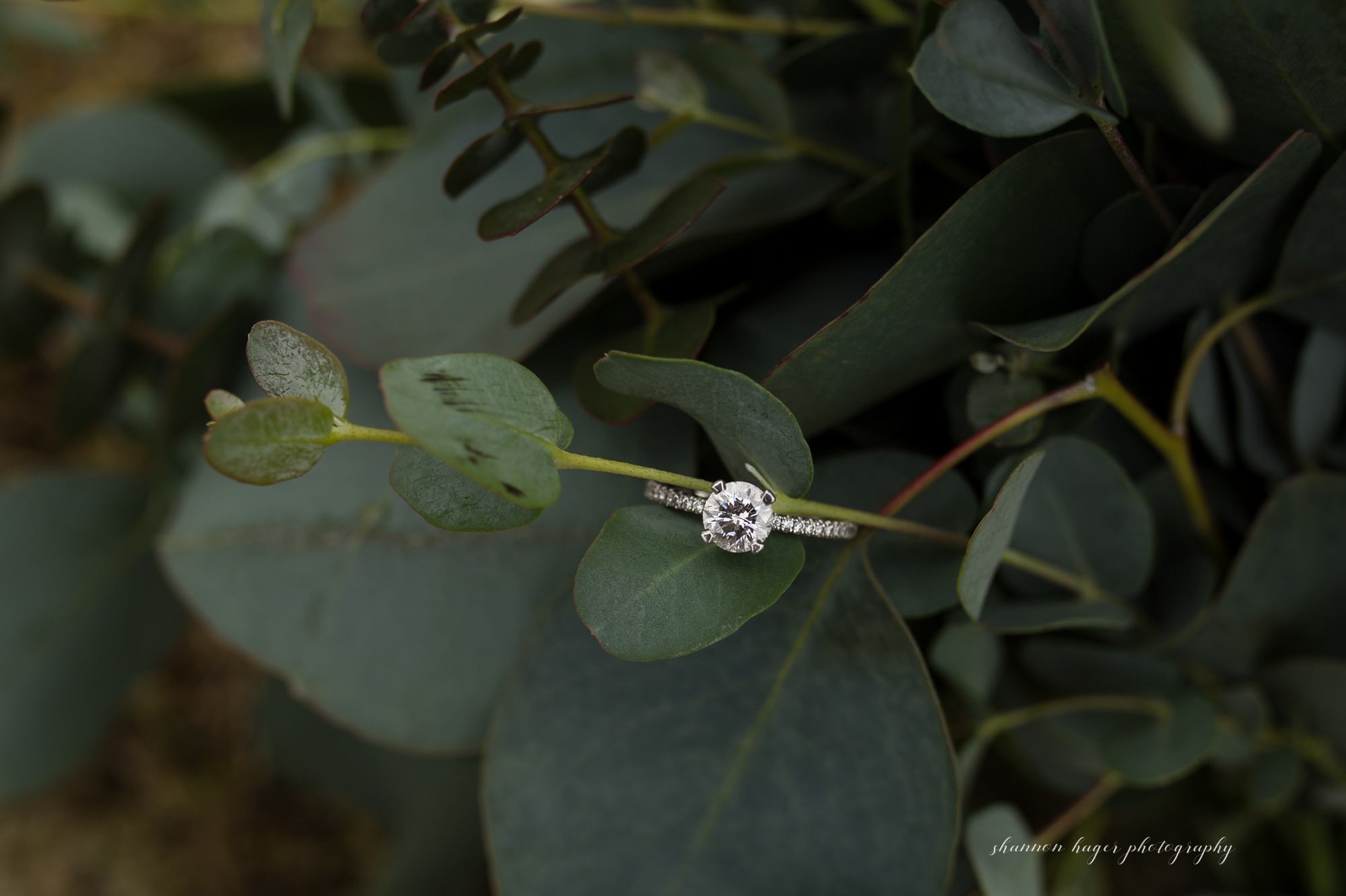 portland engagement photographer, columbia gorge government engagement session, shannon hager photography