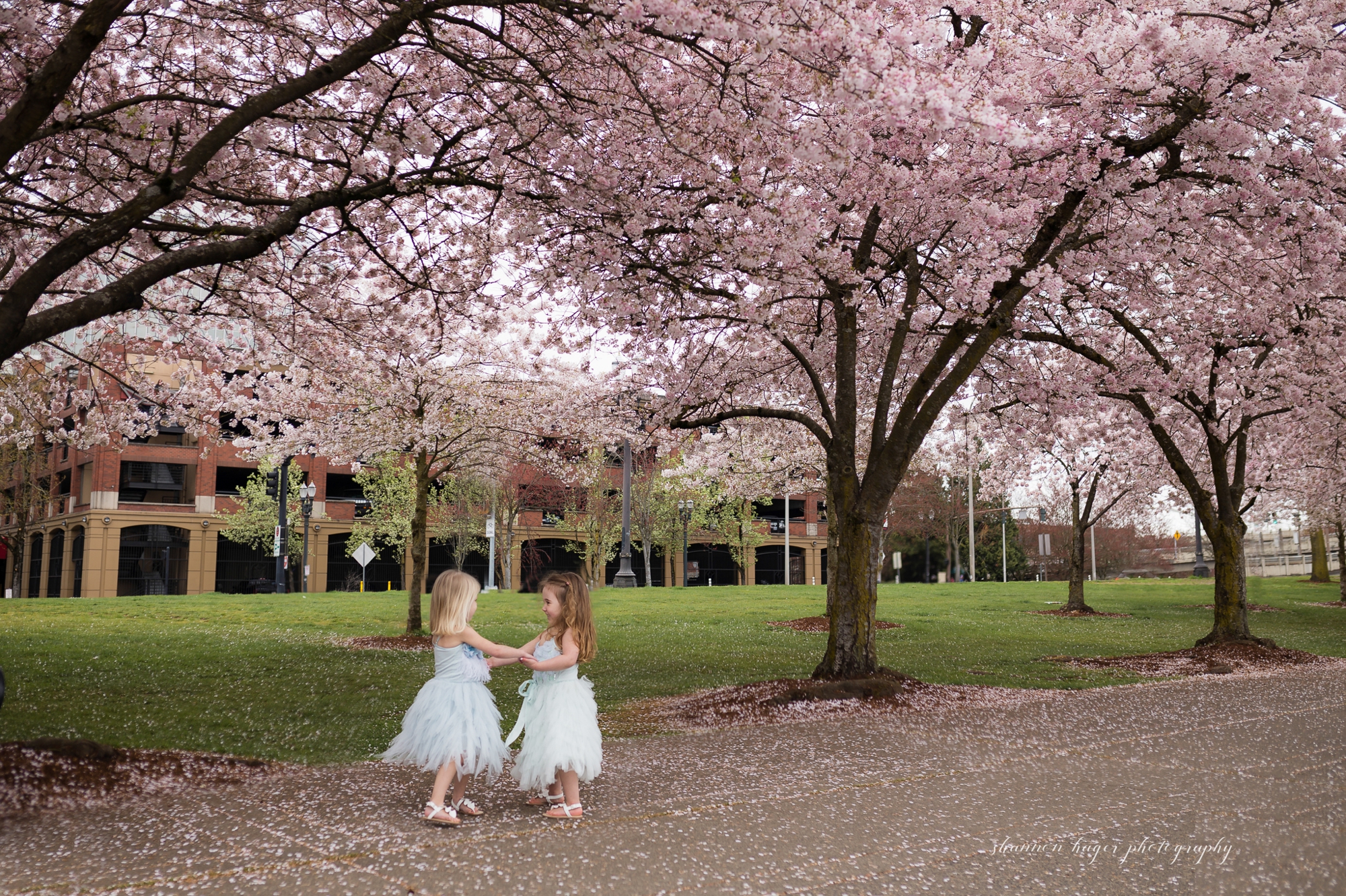 cherry blossom portland family photographer, tea party child photographer